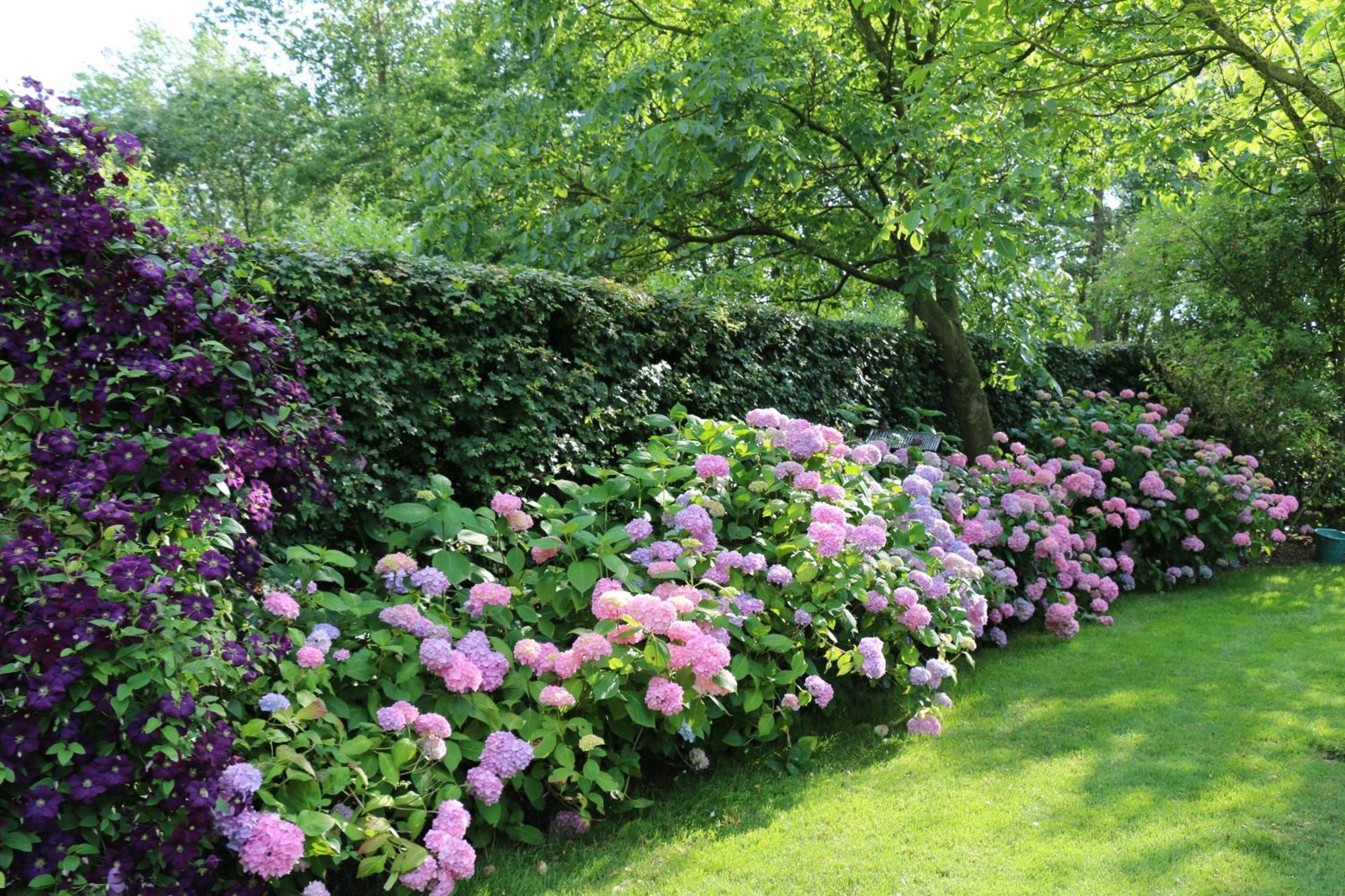 B&B Pronkenburg Brugge Bagian luar foto