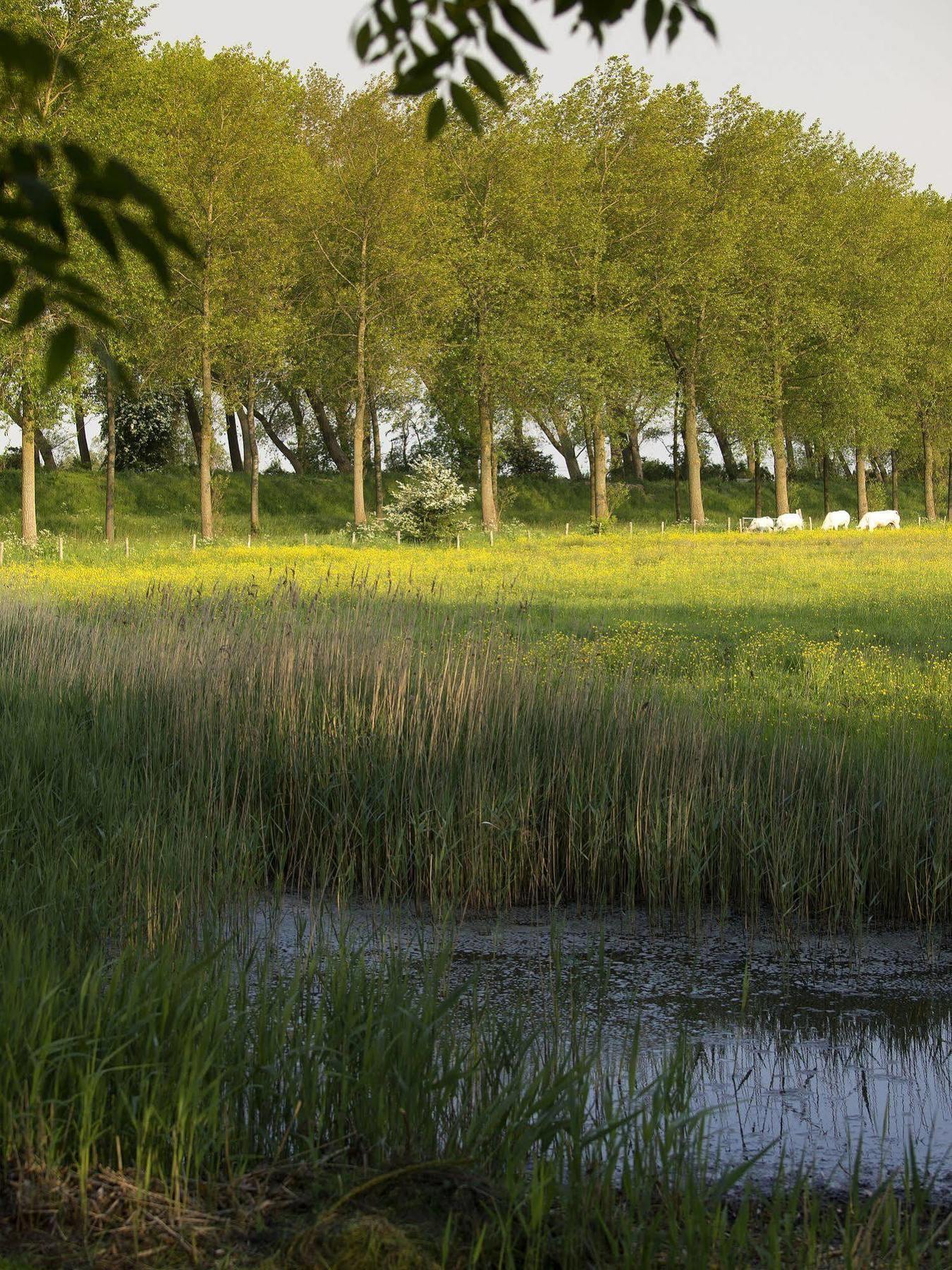B&B Pronkenburg Brugge Bagian luar foto